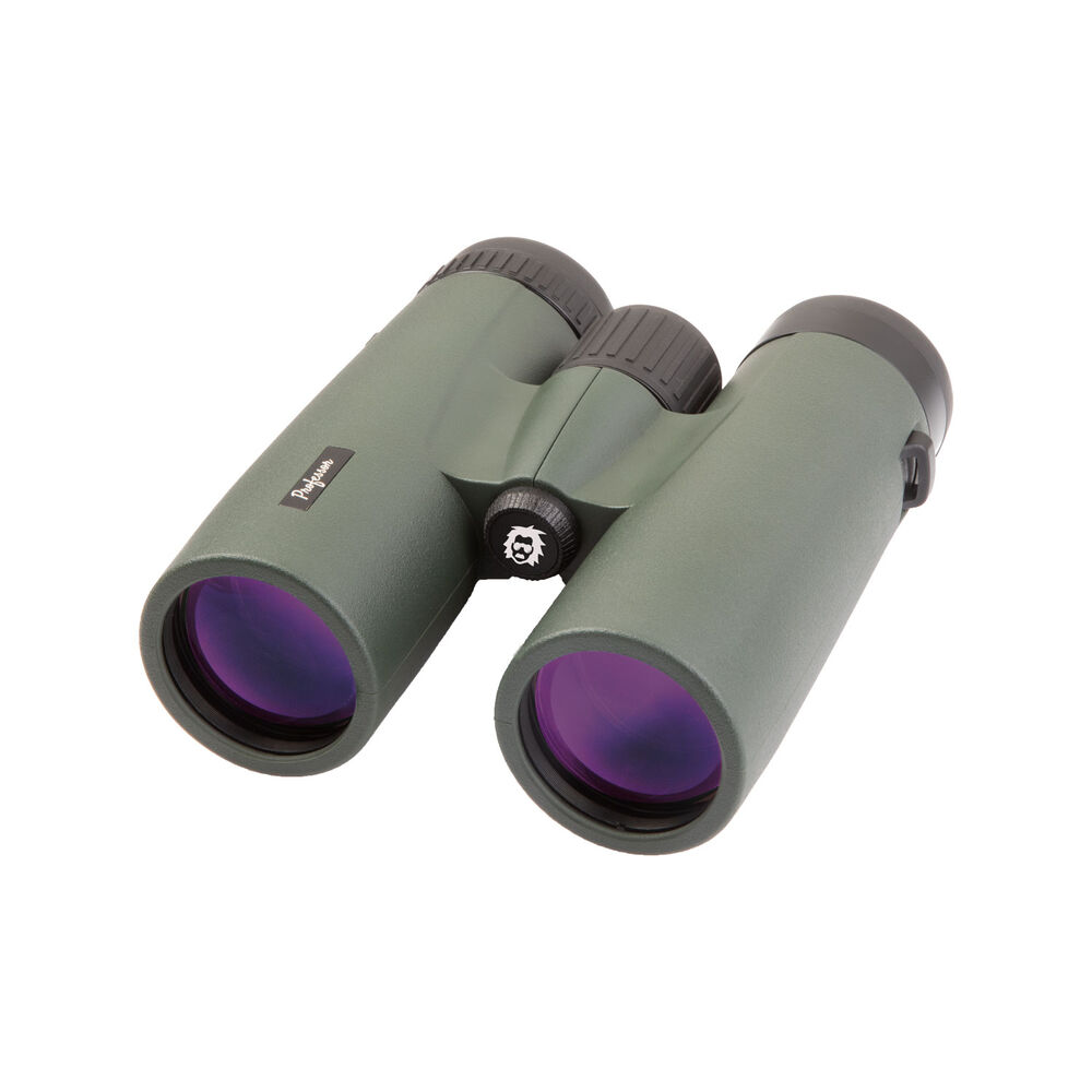 Professor Optiken Fichtelberg 8x32 V2.0 kompaktes Fernglas in Gr�n