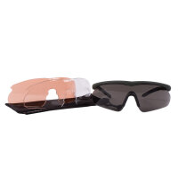 Swiss Eye Raptor L Schutzbrille / Sportbrille grün...